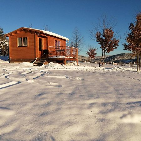 Le Chalet Des Etoiles Champagnac-le-Vieux Kültér fotó