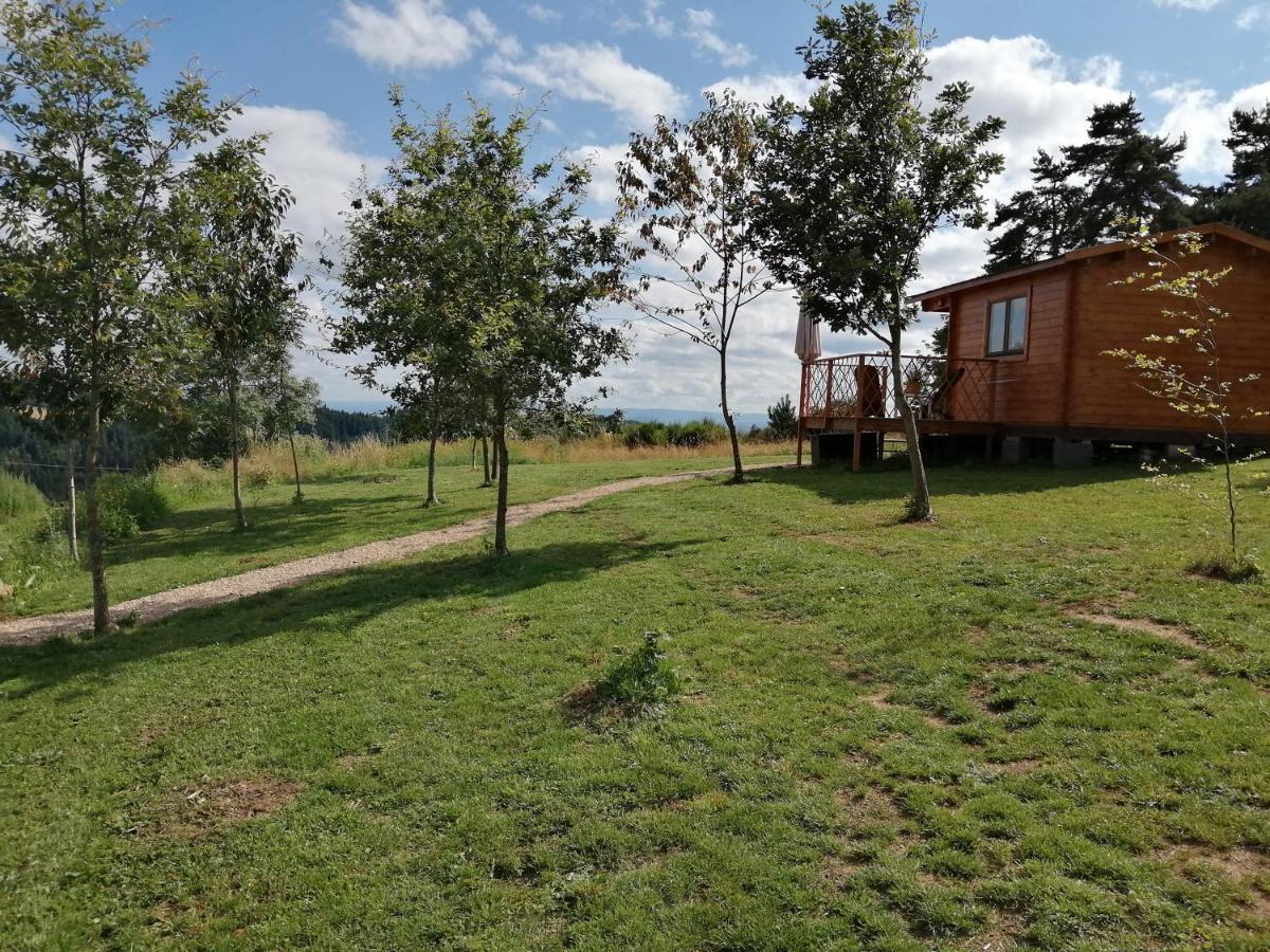 Le Chalet Des Etoiles Champagnac-le-Vieux Kültér fotó