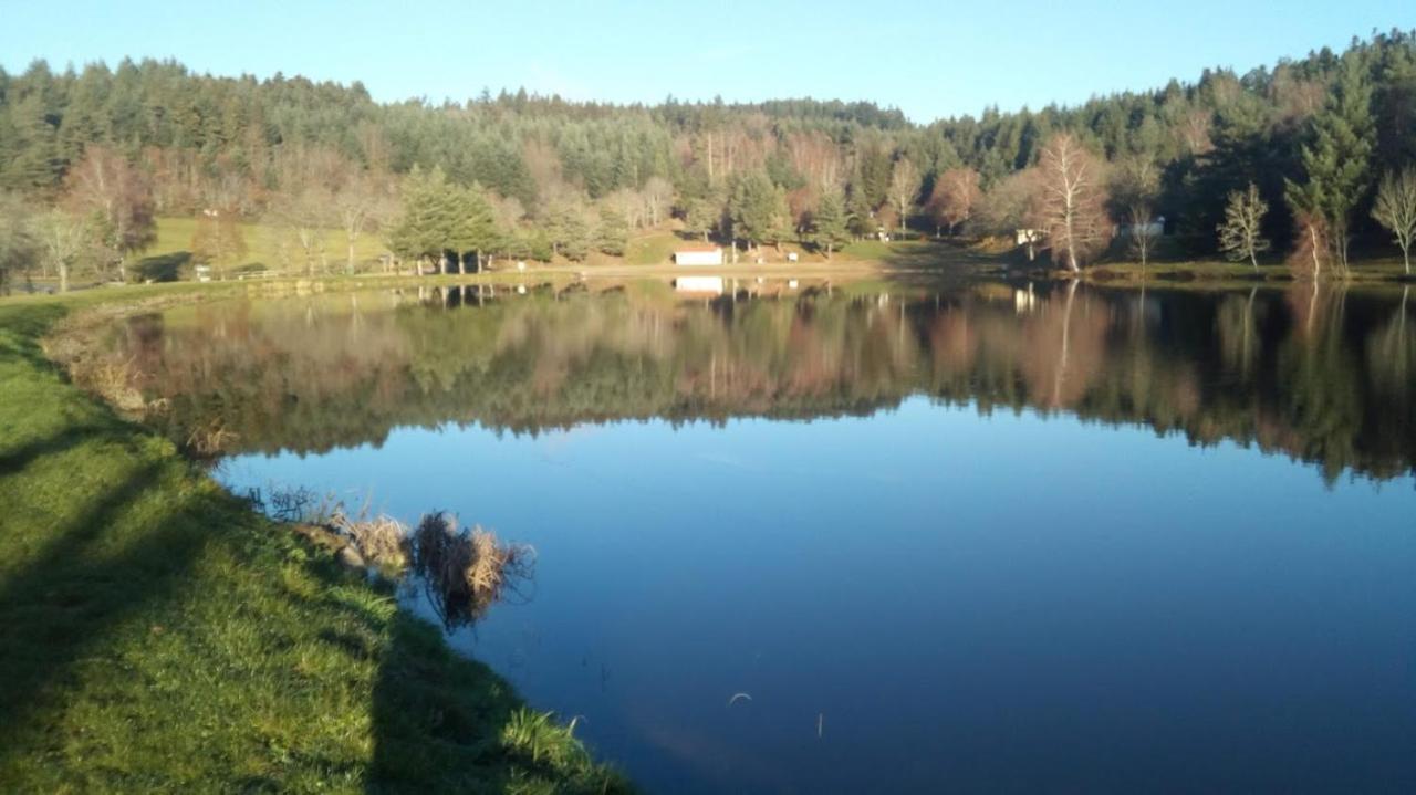 Le Chalet Des Etoiles Champagnac-le-Vieux Kültér fotó